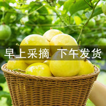 黃金百香果大果新鮮水果現摘批發1/2/3/5斤甜黃色黃皮雞蛋果包郵