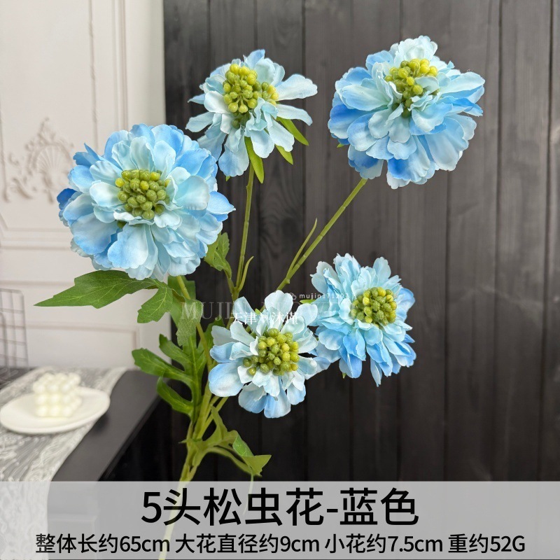 솔잎벌레꽃 5개