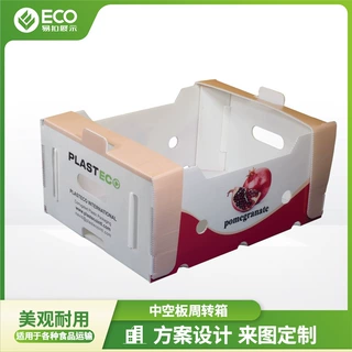 定制塑料中空板运输盒 水果蔬菜包装塑料盒周转箱 冷冻贮存运输