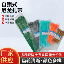 �S�ҬF؛��ɫ��������100�l�b���iʽ�������������̶����������l