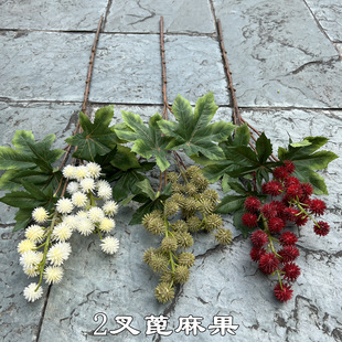 ���W�Ҿ��¿���滨 2�������Gɫ��ɫ�����[���Y�bٻ����l