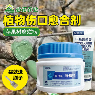 ���ڷ�����τ��пژ�ľ���ϸ��O���䘶�TĨ���������rș������
