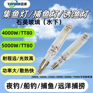 Underwater Quartz Metal Halide Lamp/Fishing Lamp/Fish Gathering Lamp/Fish Attracting Lamp 4000W/5000W E40 High Power