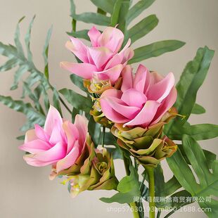 ���滨���ɻ��ָб���ٻ� �Ҿ��bӰ巿�OӋ�[�O ����