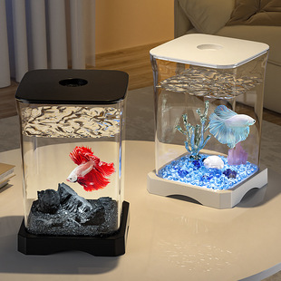 New Style Fish Tank Home Living Room Goldfish Tank Desk Watch Small Fish Tank Desktop Landscape Ecological Fish Faring