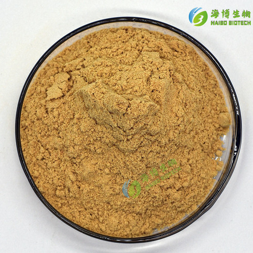 Beef Powder 99% Water Soluble Food Additive Seasoning Beef Extract Food Grade Haibo Biotechnology
