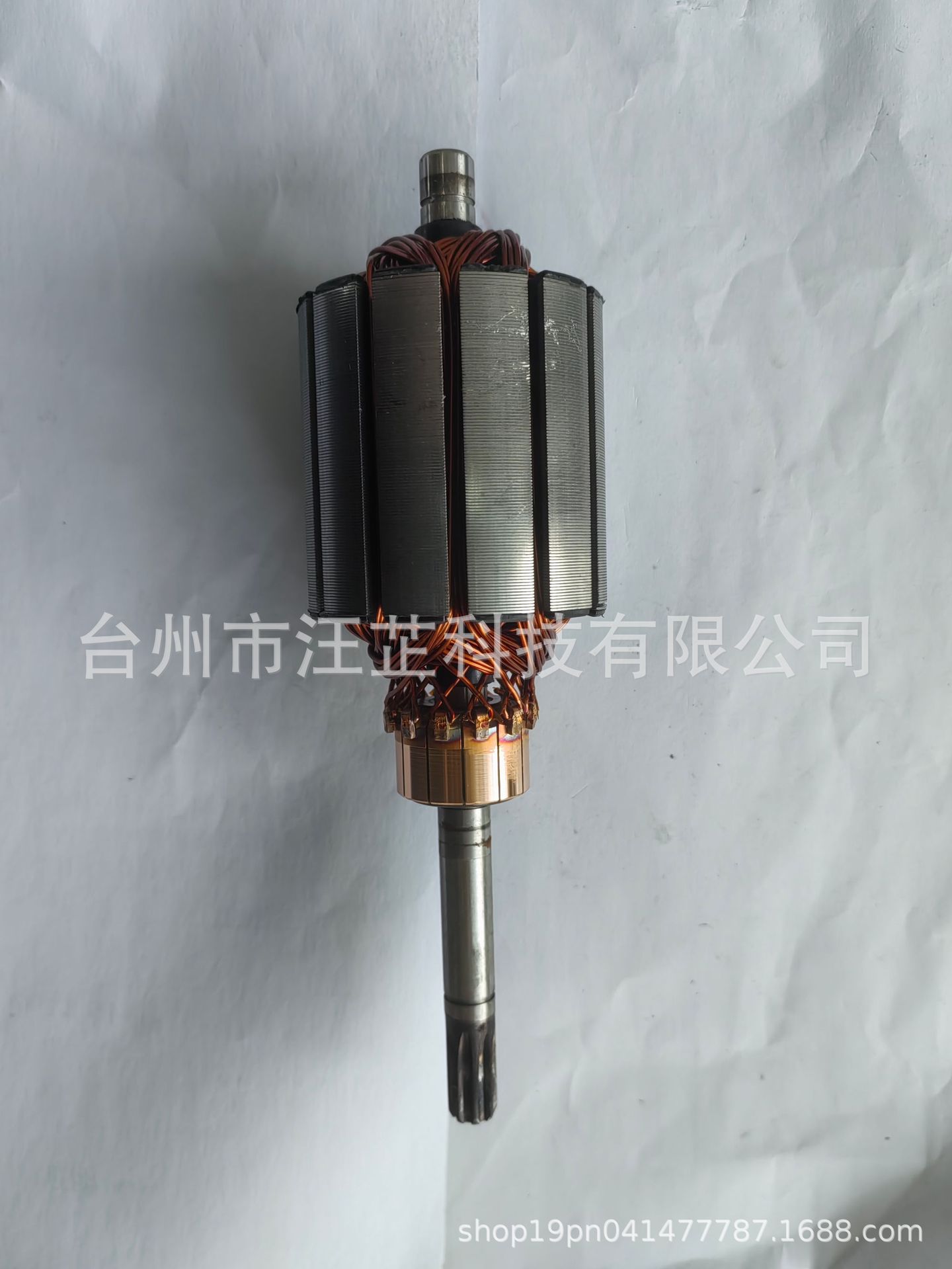 Bomba de pozo profundo DC 48v60v bomba de agua del vehículo de batería Vehículo eléctrico bomba de agua bomba de aceite de alta elevación bomba sumergible de autoabsorbente