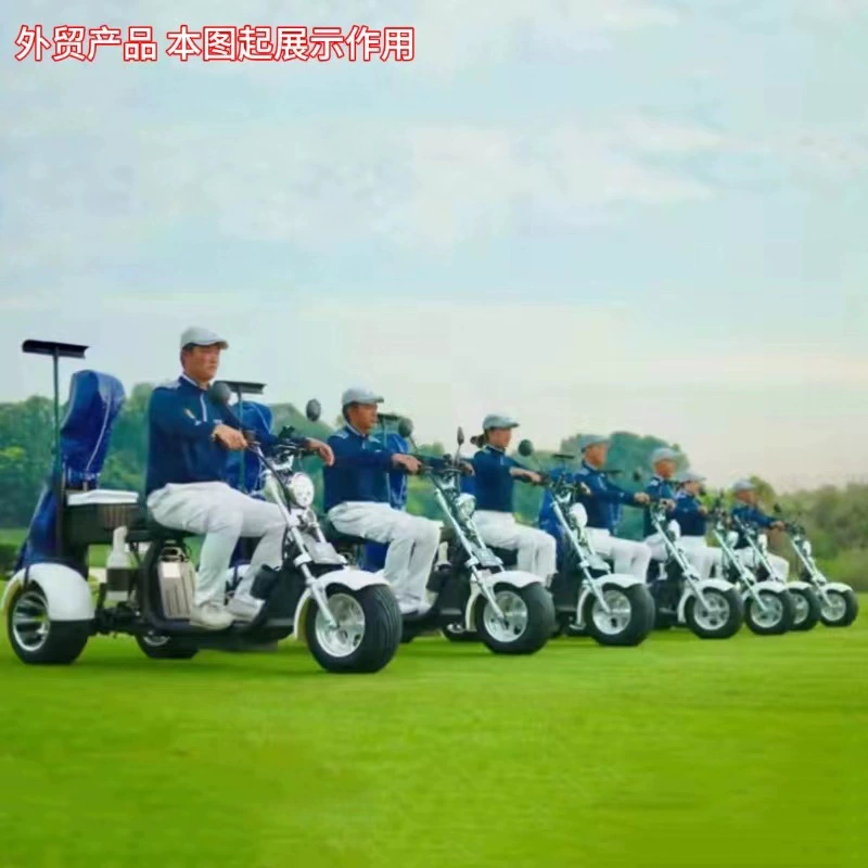 Прямые поставки с завода нового автомобиля Harlei Открытый Модный скутер электрический гольф-поле экскурсионный автомобиль взрослый электромобиль