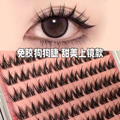 【接着剤不要モデル】大容量まつげブック 小型犬用つけまつげ 犬の目が濃くカールして卸売発送可能