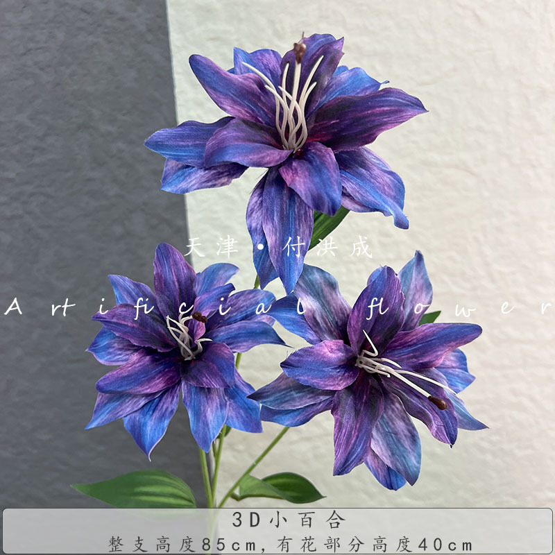 3D 사유리-블루-퍼플