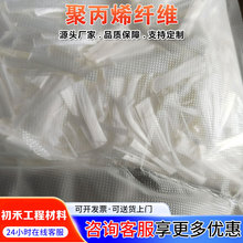 现货12mm聚丙烯束状单丝 混凝土路面加固纤维 可定制聚丙烯纤维