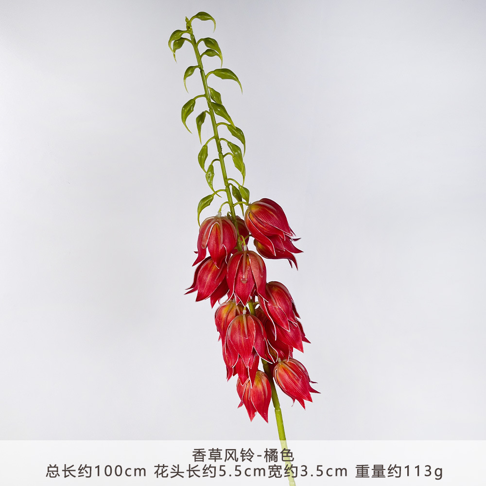 YM2-Vanilla Chuông Gió-Cam