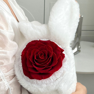 �ö���ë�q����õ�廨ĸ�H�����˹���Ů���|���������������նY��