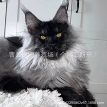 ؈����؈��N����؈��؈���wС؈�䟟Ѭ����؈�P�נ������ػ�؈