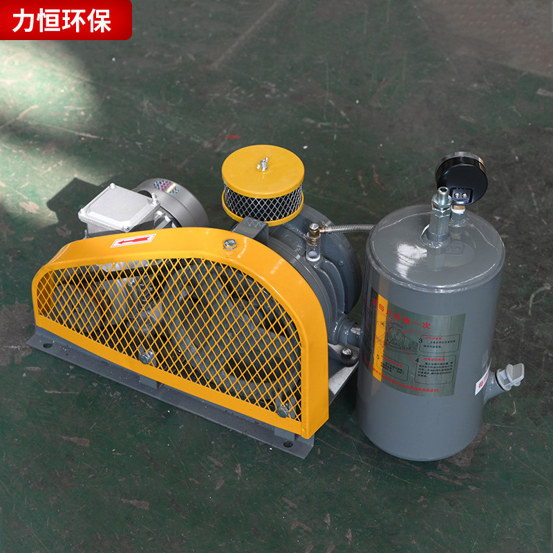 生产供应低噪音回转式鼓风机污水 处理曝气鼓风机大风量220V/380V