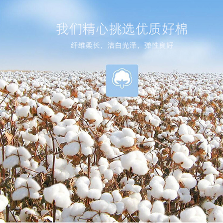 O1CN01wiOb4i219U1PMB03J_!!2332