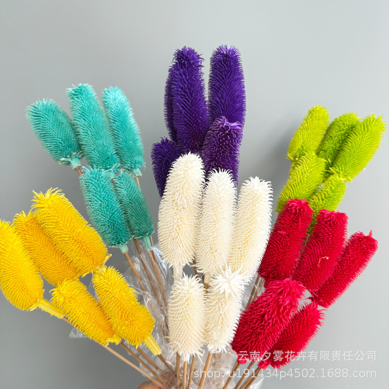 Preserved Flowers, Real Dried Flowers, Longevity Fruit, Thistle Fruit, Fruit Bouquet, Flower Arrangement Materials, Home Decoration, Photography Preserved Flowers, Real Dried Flowers, Longevity Fruit, Thistle Fruit, Fruit Bouquet, Flower Arrangement Materials, Home Decoration, Photography