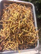 �����������x�Ĳ� ���ɮa��ֱ���ߺ��� ����x�� �Y���b�x�ݴ��l