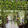 仿真家居植物爆款藤条