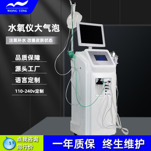 Customized Water Oxygen Injection Device, Facial Oxygen Therapy Device, Detector, Deep Cleansing, Hydrating, Imported Firming Spray