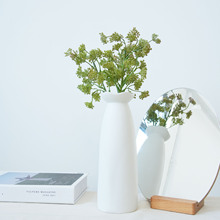 ����Gֲ����������ӼҲ����ٻ��b���insС���¿羳���N�ٻ�