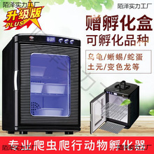 С�͞������Ԅӷ����C���x������������������С����a�؉�����