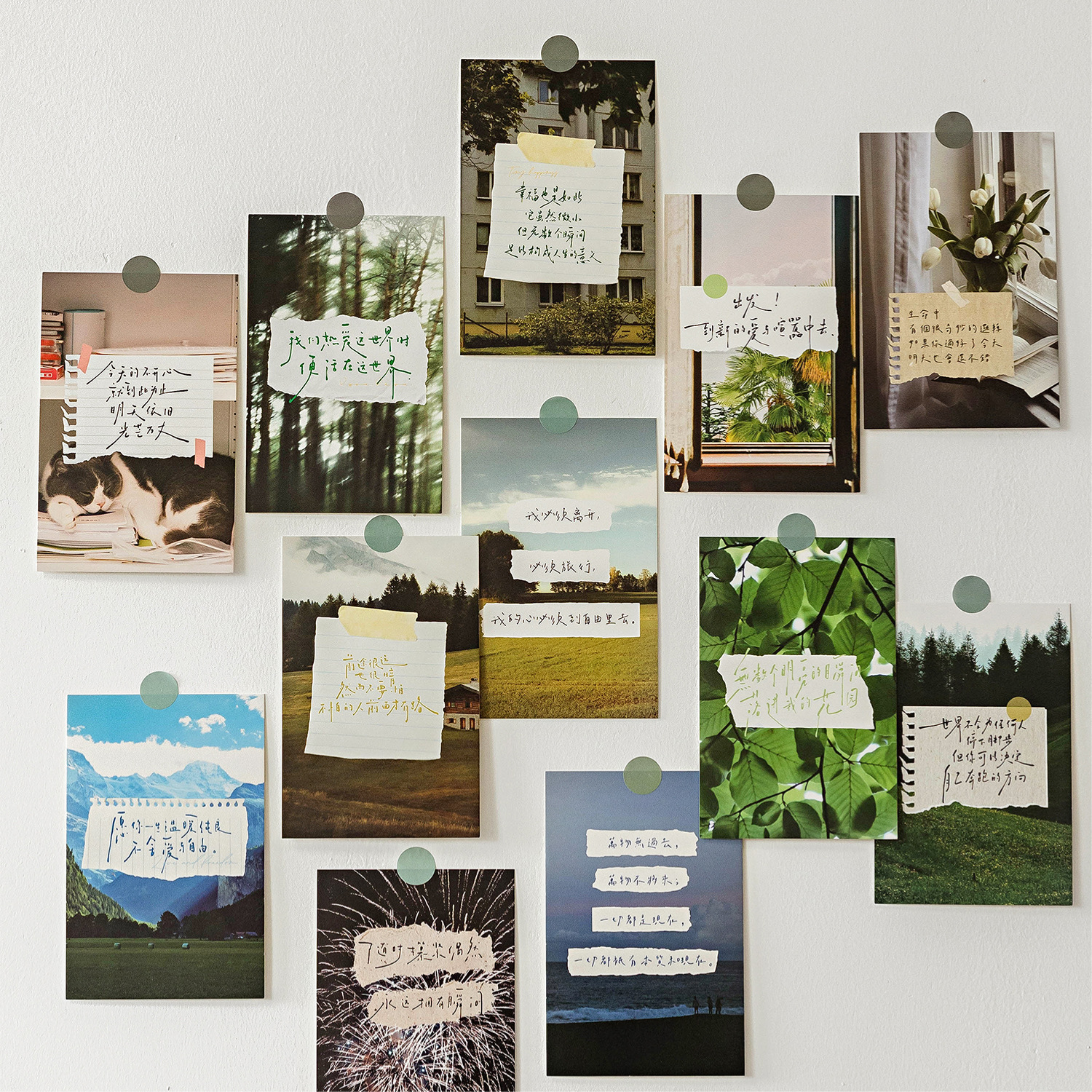 Las postales en caja de Mo Mo comienzan a sentir la felicidad y el paisaje fresco de los días normales, tarjetas de decoración de mensajes