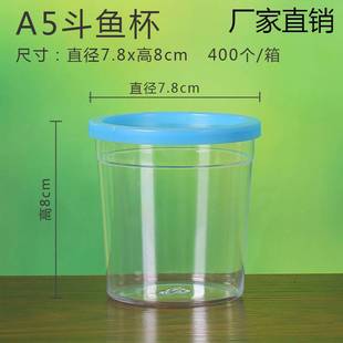 Thickened Thai Betta Cup with Rope Betta Box Transparent Pet Box Plastic Small Goldfish Tank with Handle Betta Cup