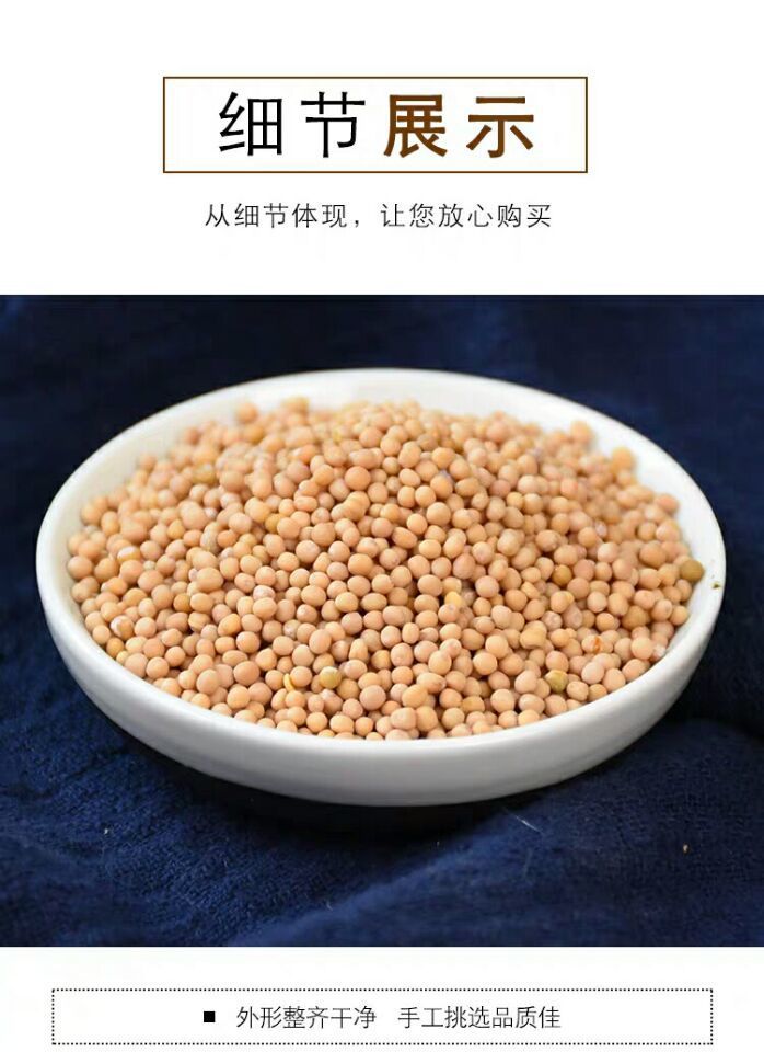 White Mustard Seed Bai Jie Zi 500g Dried Semen Sinapis Albae Traditional Chinese Herb for Decoction and External Use quality and texture