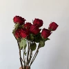 Cherish a bundle 10