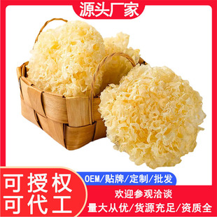 �y�����l�y���S��ֱ�N��؛�����b��ʳ�y�����b�F؛���l