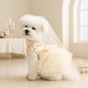 PETCIRCLE���ﹷ��؈؈���b������ȹ�ر��߶˶Y���鼆����