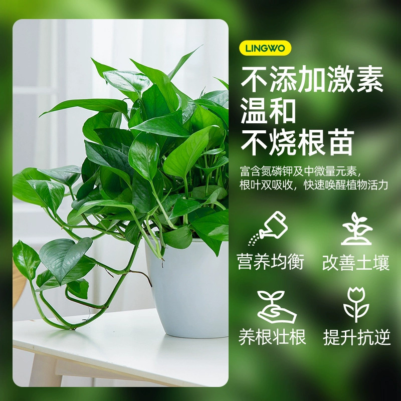 栄養液 植物濃縮型 緑植物発根液 苗の成長促進・根の発生促進 室内鉢植え 黄葉対策 汎用版 濃縮・高効率|undefined