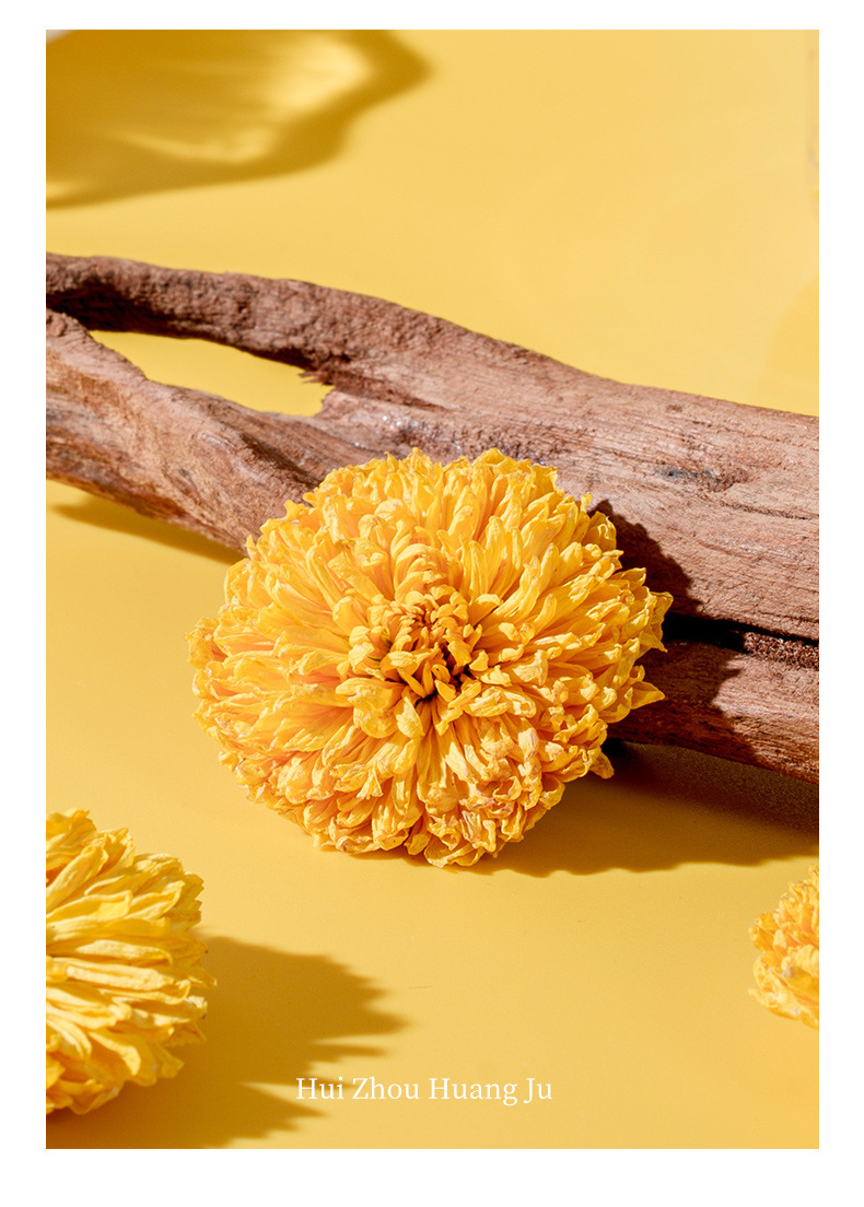 Huizhou Imperial Chrysanthemum Tea Large Whole Blooms Ju Hua 10g Mini Can Hot Brew Herbal Flower Tea quality and texture