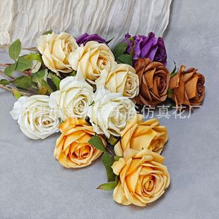 �������^���_��õ���Y�bٻ�����õ�廨���l�� �滨 õ�廨�^