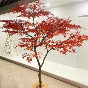 �t���������҃�����ش��;��^��ʽͥԺ�쾰�b٘��ɽˮ�ɾ�