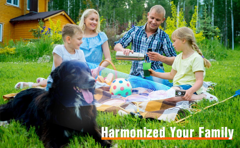 dda81c88-e2da-4b7d-ac5c-8d3d57