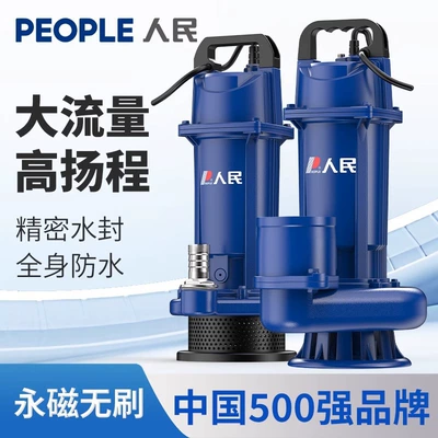 People's Brushless Dc Submersible Water pump