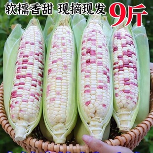 �V����Ŵ�������r�Fժ��Ƥ����ܛŴ�㱬�{�����װ��Ӱ��Ȯ���