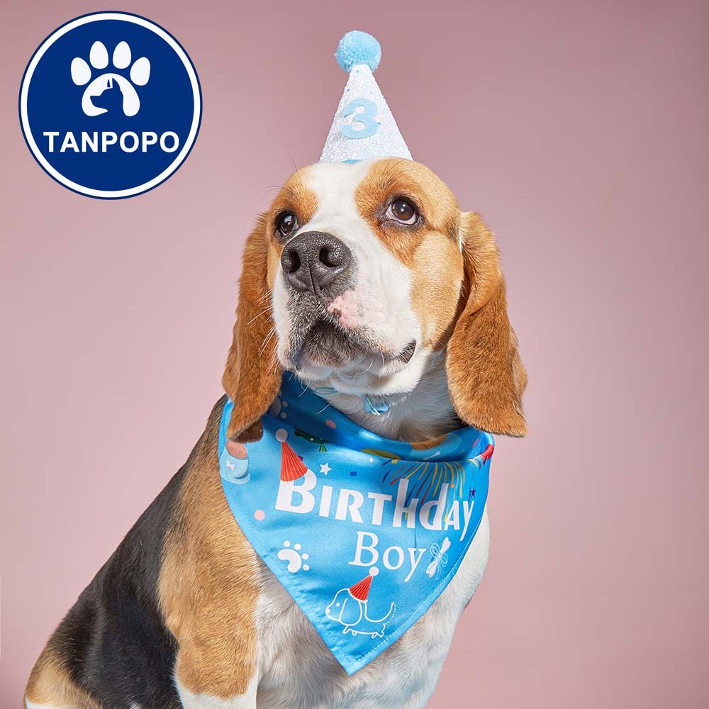 Tanpopo transfronterizo de dibujos animados mascota cumpleaños sombrero mascota saliva toalla perro triángulo toalla mascota bufanda