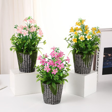 ���\���Ȼ�С���ԼҾ�����[����Y�zӰ�����bGֲ�辰����Gֲ