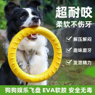 EVA������߹����w�P����Ȯĥ��Ӗ���A�h���hС��؈����������l