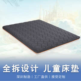 定制全拆洗儿童老人环保棕垫椰棕榻榻米床垫学生宿舍可拆洗设计