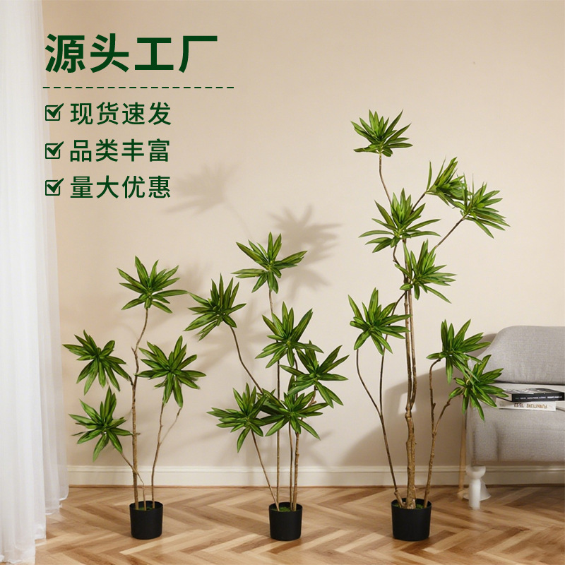 百合竹仿真绿植高端假绿植盆栽大型室内摆件客厅落地树造景
装饰|undefined