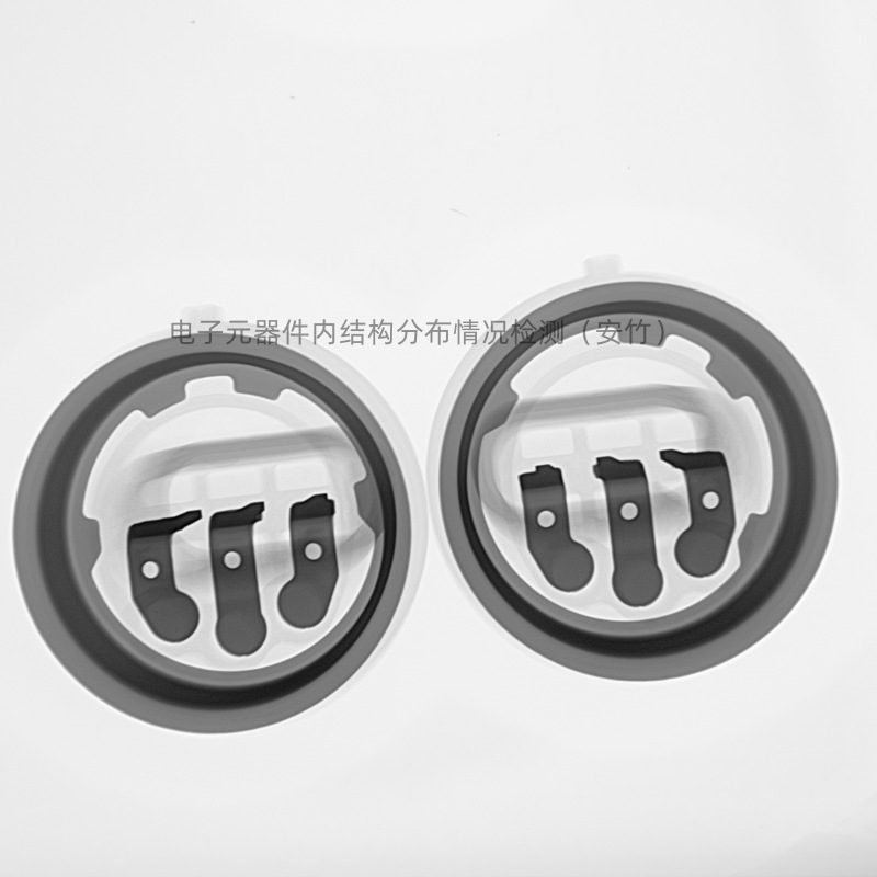 电子元器件内结构1