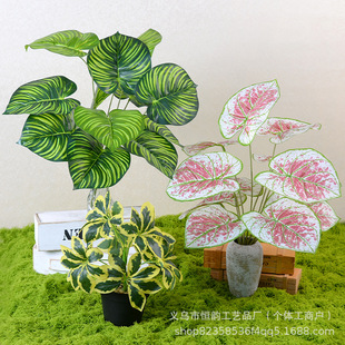 ����Gֲ����ֲ���~�Ӽٲ��҃����ⱳ�����쾰�b[�����ݾG�}