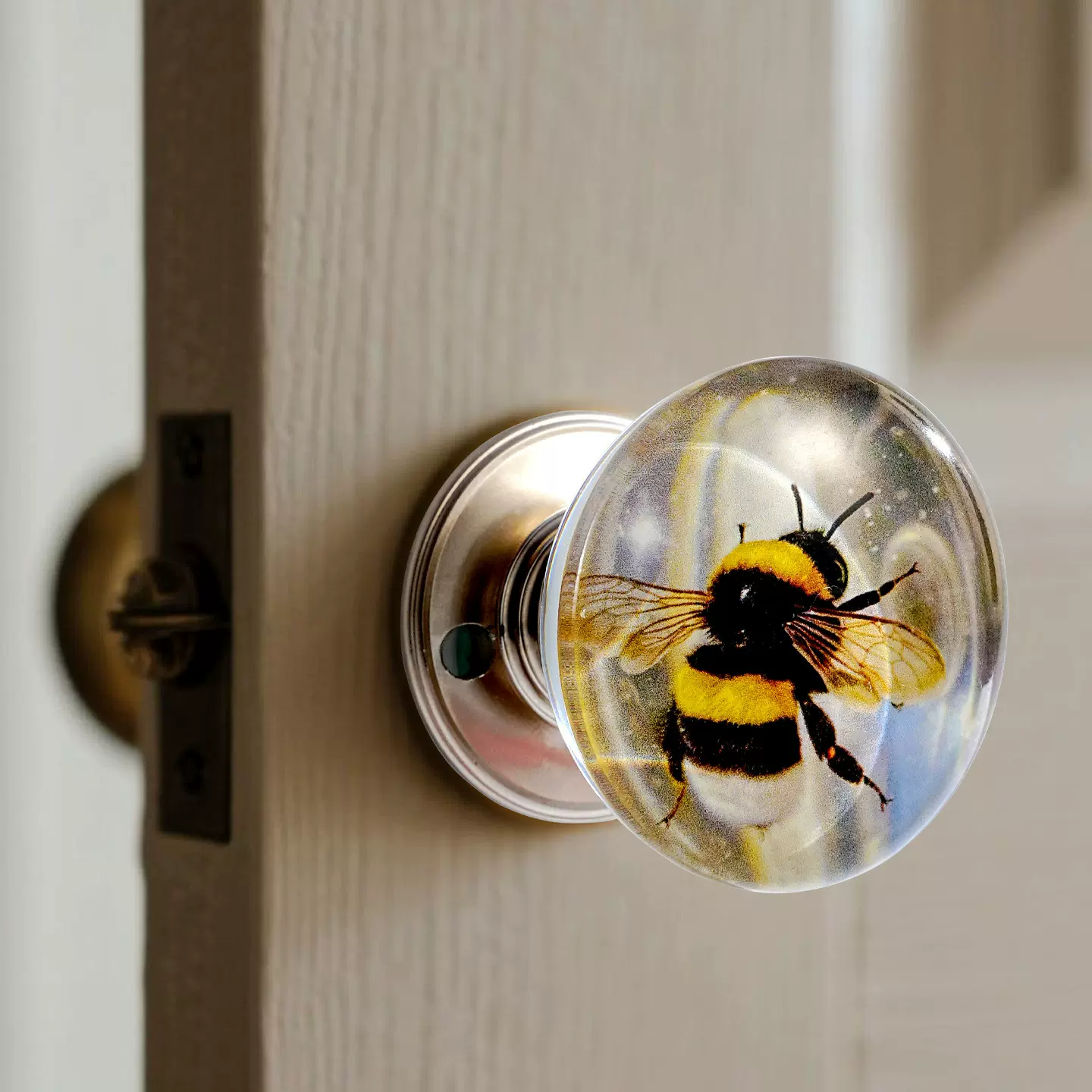 跨境树脂内埋工艺品水晶球门把手创意树脂拉手橱柜衣柜装饰门把手