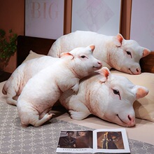 �ië�q�����L�l���|˯�X�A����˯��żŮ���ɐۼҾ��b���