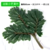 12 rose red glued mango leaves