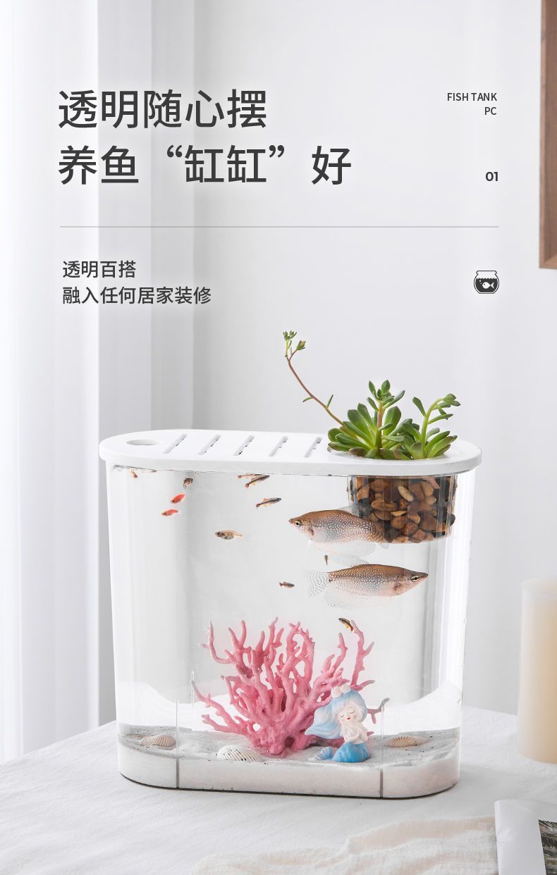 03f93d0a-8c0d-485c-8cc2-f71bcca9611a.jpe